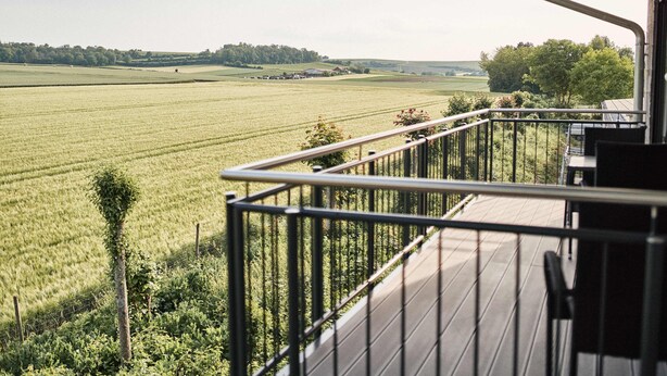 A balcony with a view of a green field and distant buildings. - Vacation apartment at the Winzerhof with a view of the vineyards. (Stadecken-Elsheim)