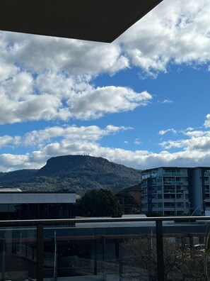 View from property - Executive Beach pad (Wollongong)