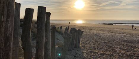Nära stranden
