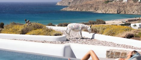Junior Suite with Shared Pool & Partial Sea View | Terrace/patio