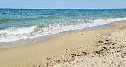 Brand New Apartment With Pool, gym and Playground