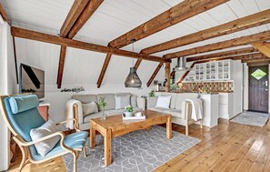 Smart-TV, Kamin