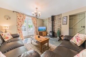 Smart TV, fireplace, books