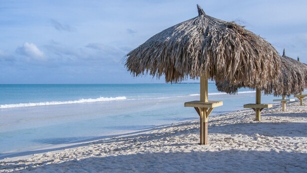 A beach with thatched umbrellas and wooden benches. - Palm Beach Stunning Villa 13-beds 10-baths -26ppl (Noord)