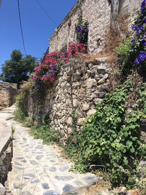 Áreas de la propiedad