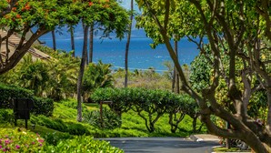 A lush garden with a paved pathway, palm trees, and a view of the ocean.
