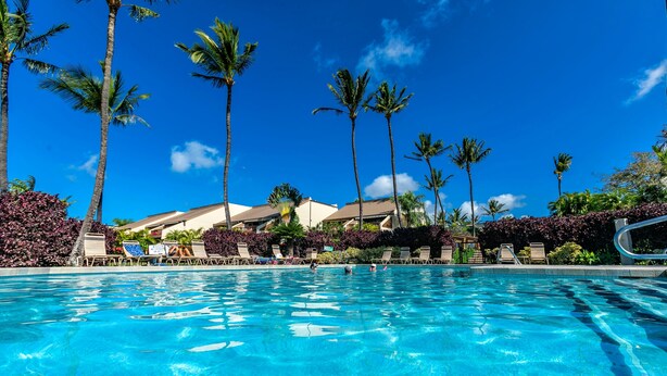 A swimming pool with clear blue water, surrounded by palm trees and lounge chairs.