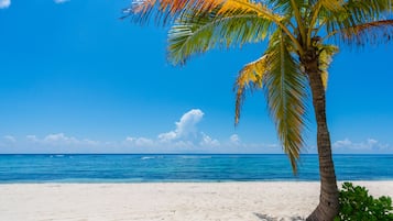 Plage, chaises longues, serviettes de plage