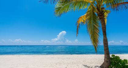 Hits the Spotts: Your Tranquil Island Retreat