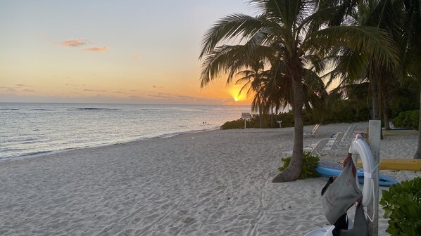 A beach with a palm tree, a sign, and beach chairs.