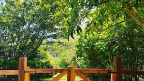 Una verja de madera con una barra transversal en el centro, rodeada de abundante vegetación y árboles.