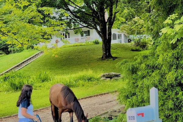 施設の敷地