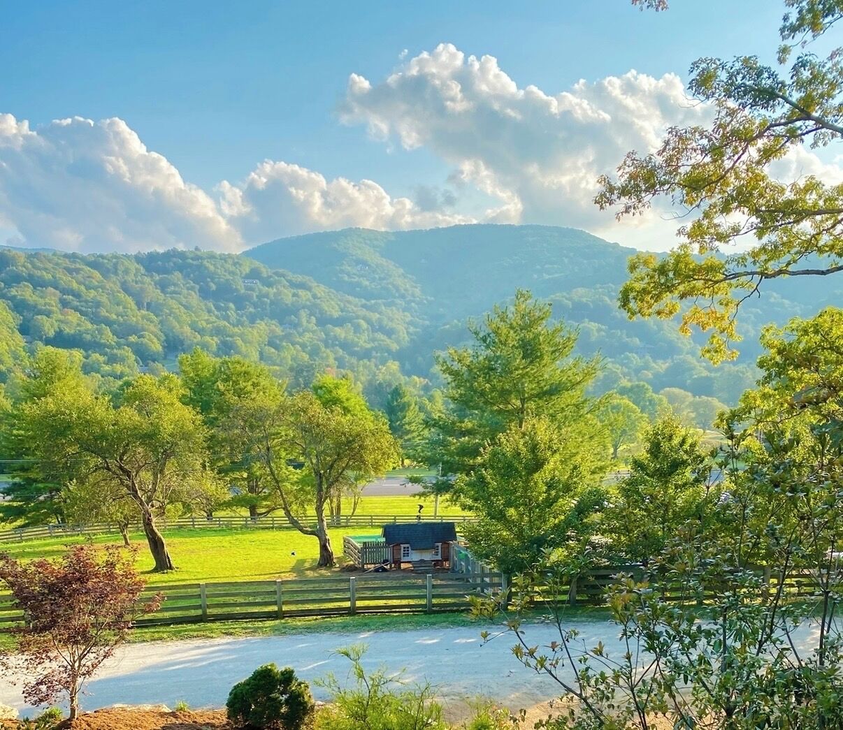 A rural landscape with a house, trees, and a road.