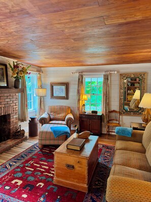 TV, fireplace, books