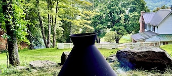 Renovated 1885 Farmhouse: Horse, Goats, & Fresh Eggs