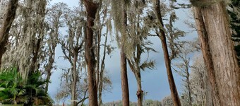 Waterfront great views large 1 bedroom studio apartment close to Moffitt, Tampa.