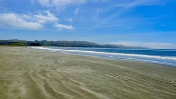 Camastros y toallas de playa