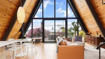 Smart-tv, pejs, bøger, computerskærme