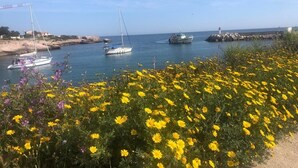 A coastal scene with boats, a lighthouse, and a field of yellow flowers.