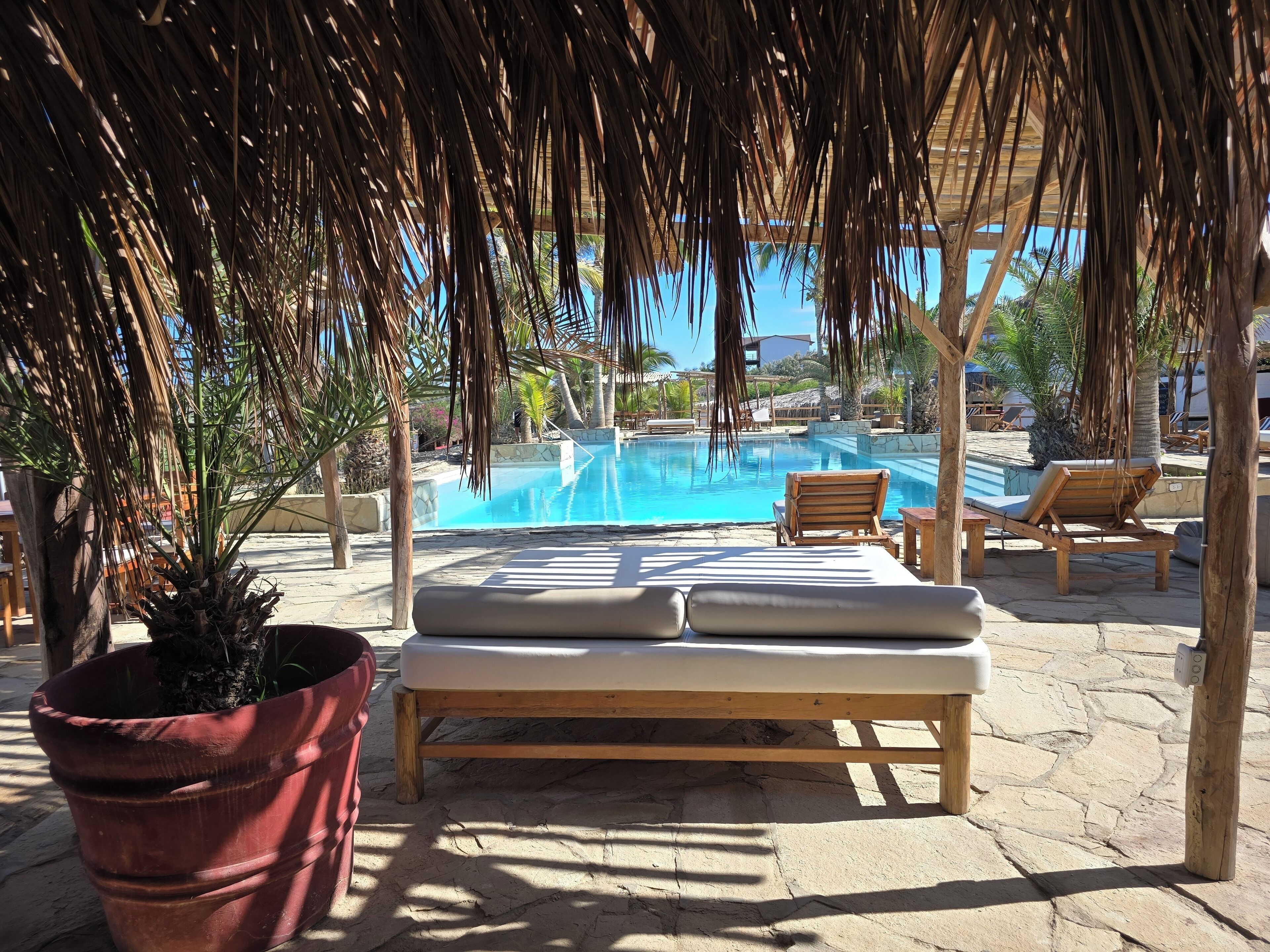 A poolside area with a wooden lounge chair and a potted plant.