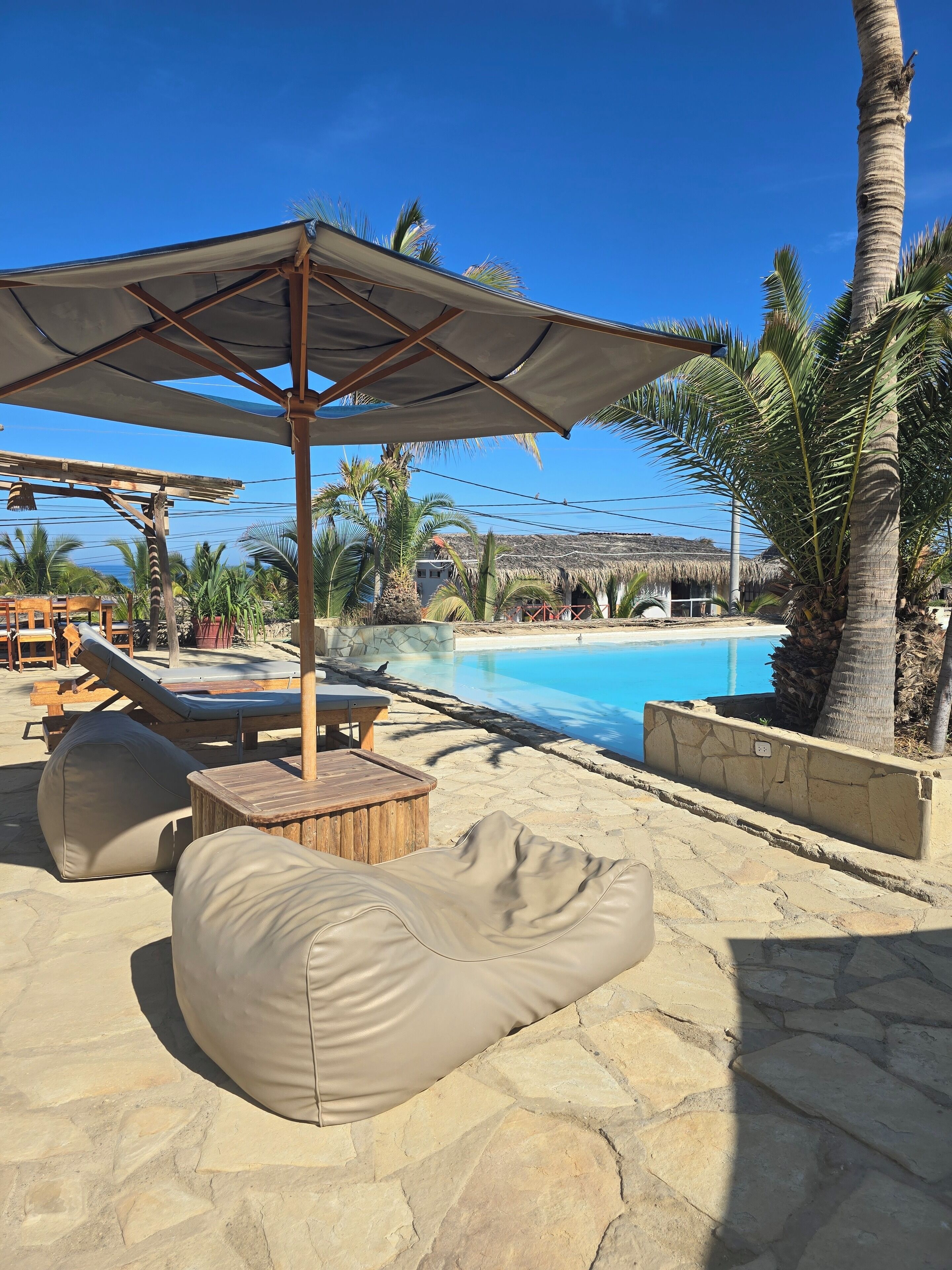 A poolside area with lounge chairs, a wooden deck, and a palm tree.