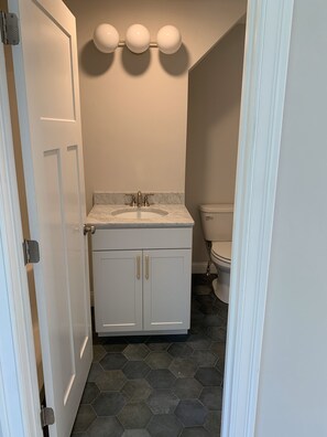 Combined shower/tub, bidet