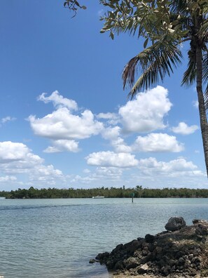 Beach - Cozy coastal cottage in Goodland (Marco Island)