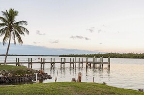 Relax by the serene waterfront, where a tranquil dock stretches into the calm waters, surrounded by lush greenery and a solitary palm tree.
