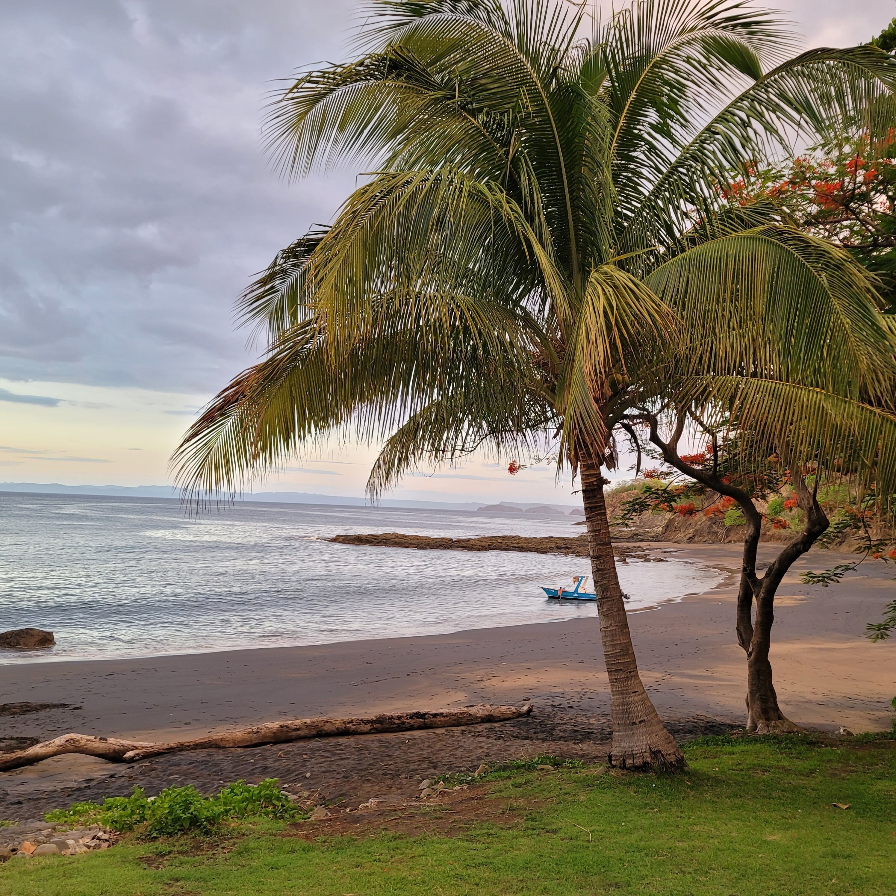 A beach with a palm tree, a boat on the water, and a distant shoreline.