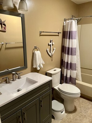 Combined shower/bathtub, hair dryer, toilet paper