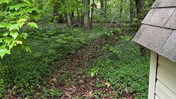 Terrain de l’hébergement