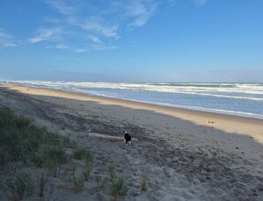 A beach with sand, grass, and a dog. - Cozy 1-bedroom villa with private pool and garden (Vensac)