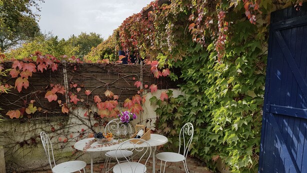 Eine Terrasse mit einem runden Tisch und vier Stühlen, umgeben von einem Backsteinboden und bewachsen mit Efeu.