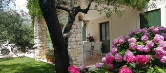 The luxury apartment in a picturesque medieval seaside town