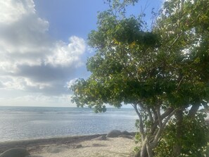 A beach with a tree in the foreground and the ocean in the background. - cozy condo minutes from the beach - in the heart of Fajardo ❤️. (Farajdo)