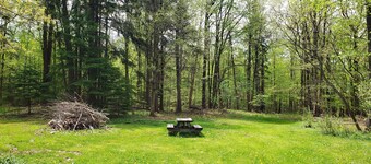 Enjoy the outdoors in this cozy Log Home on top of hill