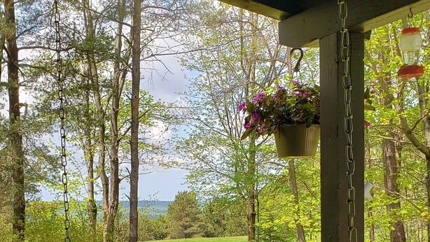 A wooden swing chair with a cushion, hanging from a chain, under a covered area with a view of a grassy field and trees.