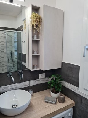 Shower, hair dryer, bidet, towels