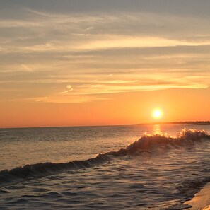 بالقرب من الشاطئ