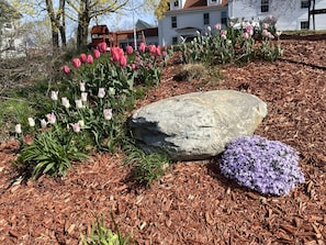 المنطقة المحيطة بالمنشأة