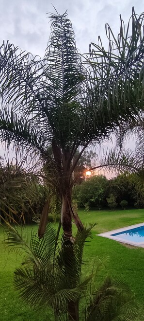 Property grounds - Country House with Sauna, Near Asia Boulevard (Santa Cruz de Flores)