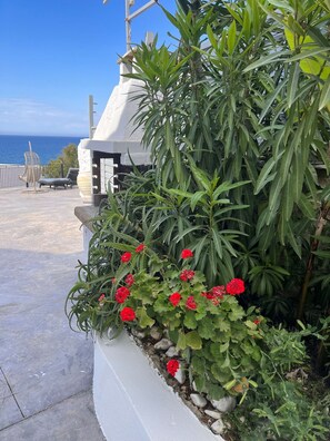 Property grounds - Fantastic Villa Romi with direct sea views (Tragaki Griechenland)