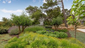 A landscaped garden with various trees, shrubs, and a stone wall.