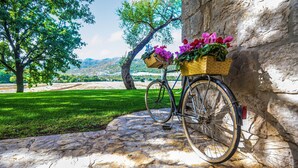 Un vélo avec un panier rempli de fleurs est garé contre un mur de pierre, avec un espace verdoyant et des arbres en arrière-plan.