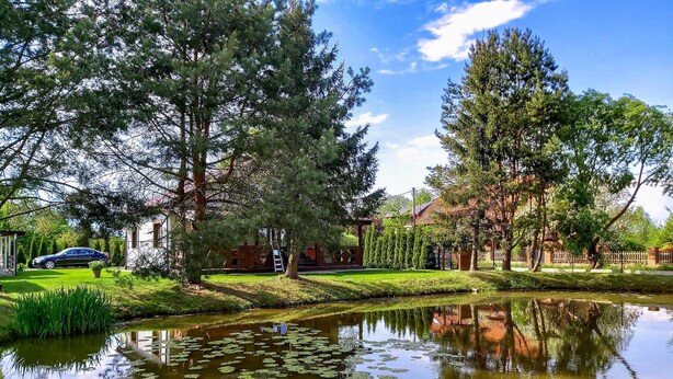 A serene pond with lily pads surrounded by lush greenery and trees.
