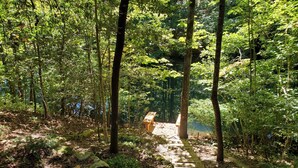 Ein Holzsteg führt durch ein bewaldetes Gebiet zu einer kleinen Holzhütte.
