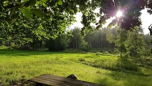 A picnic table in a grassy field with trees in the background. - Pet friendly home in Skeppshult (Skeppshult)