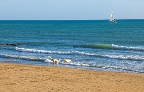 Beach nearby, fishing - Lovely home in Pozzallo with kitchen (Pozzallo)