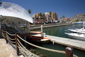Marina - BEST MARINA LOCATION! NO CLEANING FEE! RENOVATED! (Cabo San Lucas)