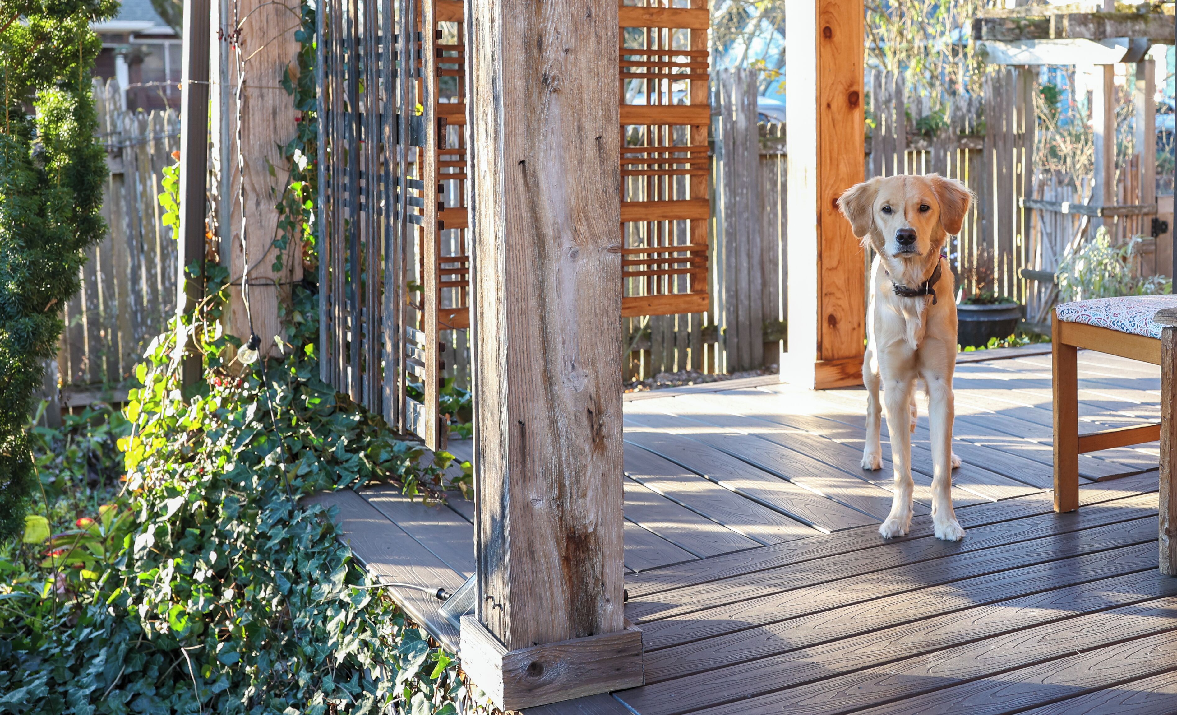 Enceinte de l’hébergement